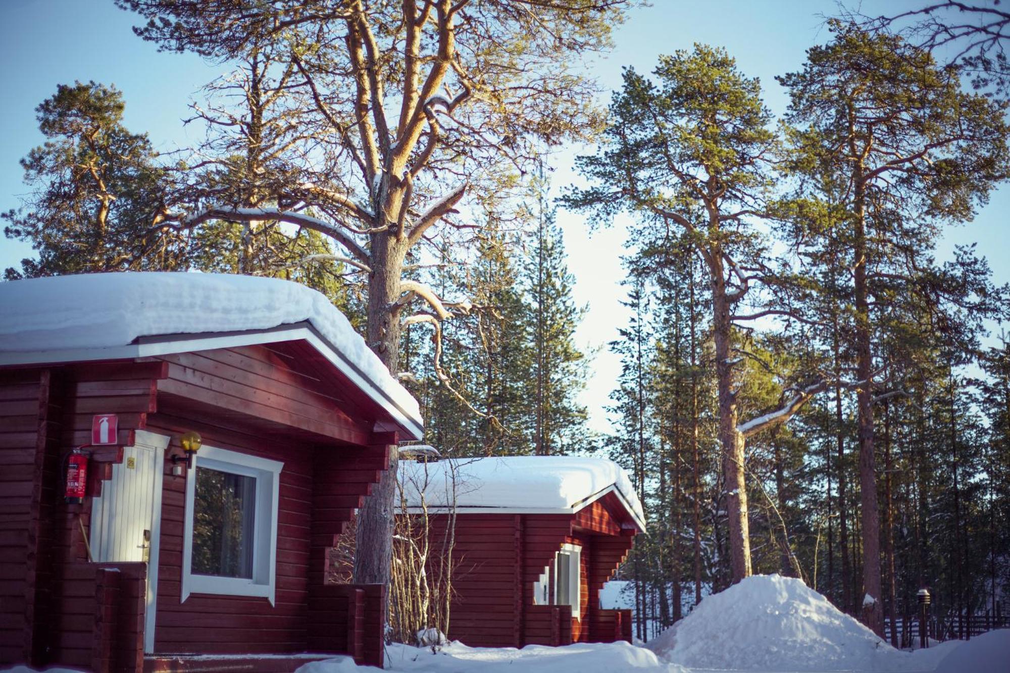 Crow Creek Cabins 伊纳利 外观 照片