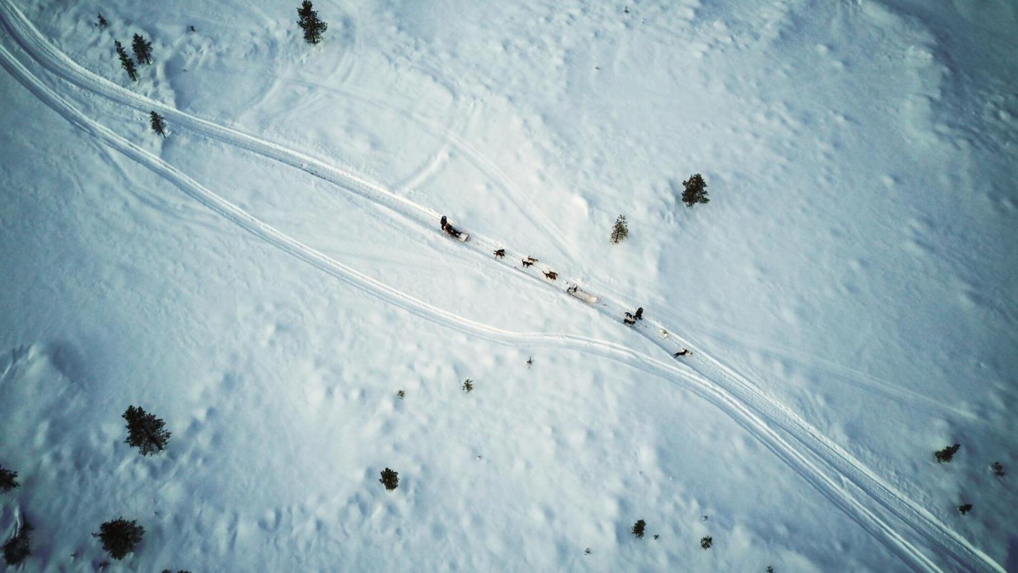 Crow Creek Cabins 伊纳利 外观 照片